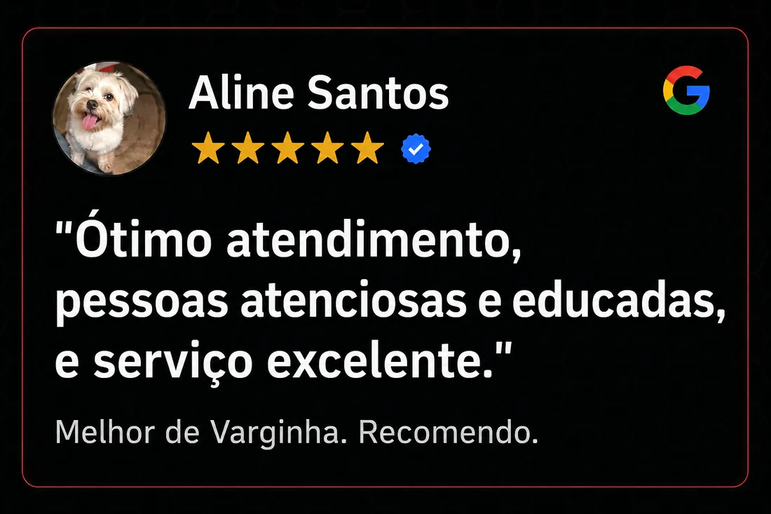 Avaliação cinco estrelas de Aline Santos elogiando o atendimento e o serviço.